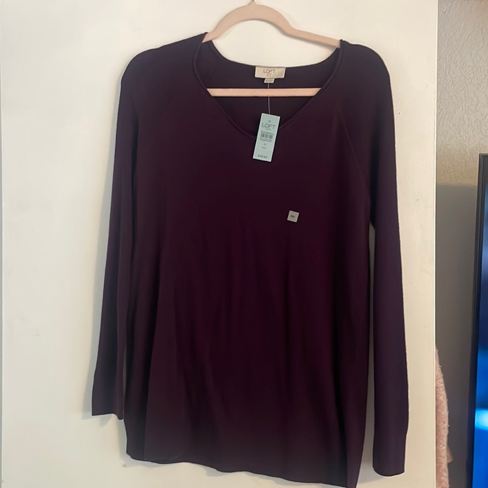 Brand new Vneck plum sweater.